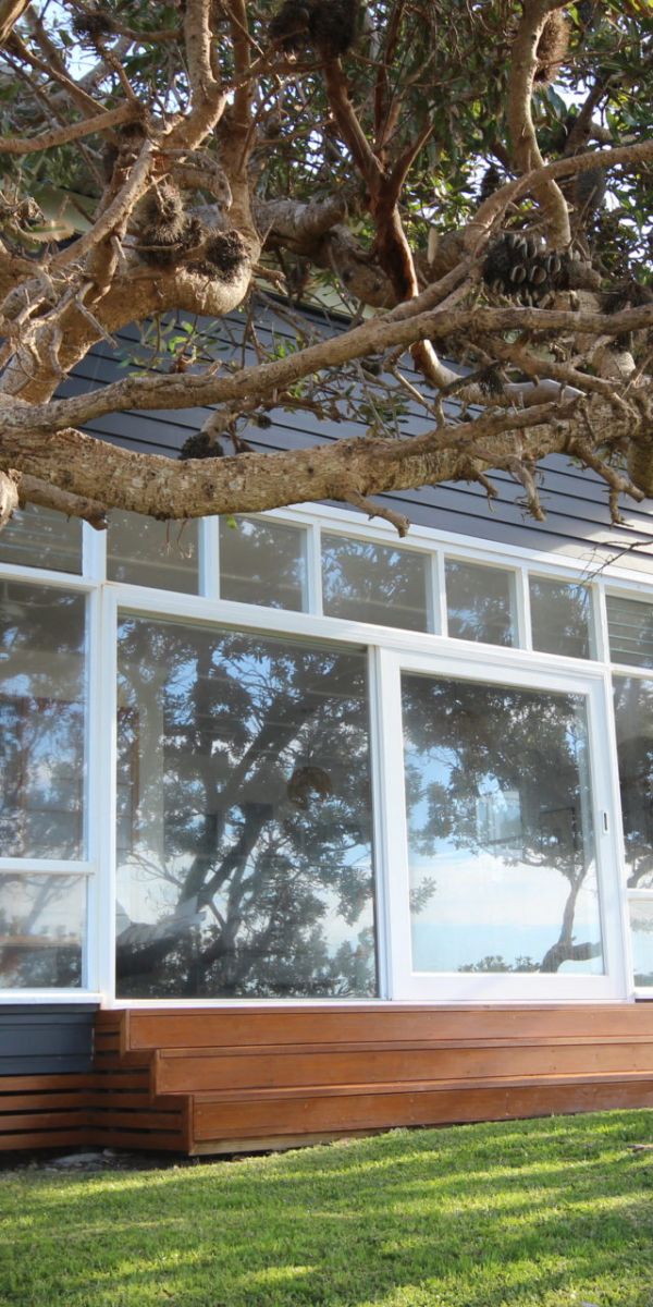 sea urchin external 1