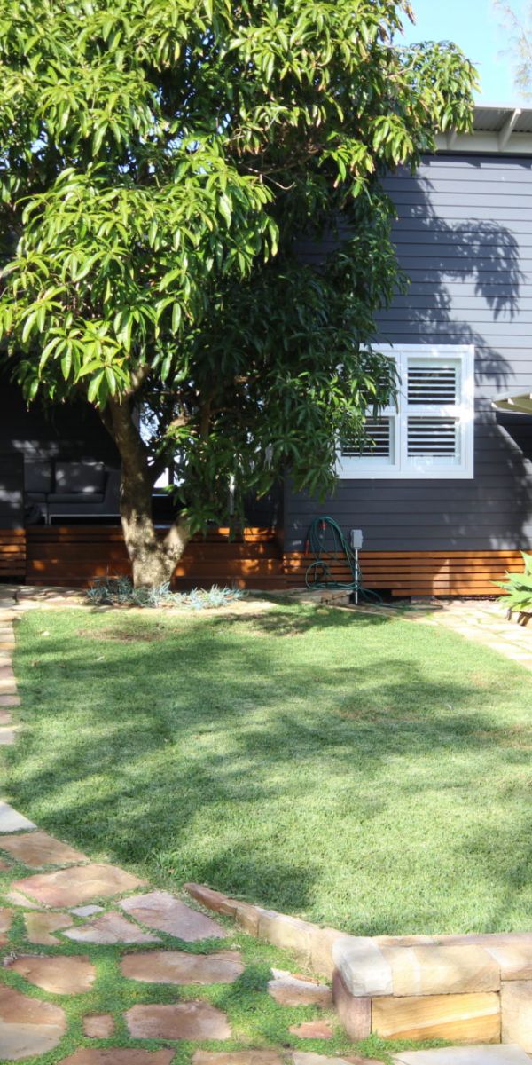 sea urchin external 3